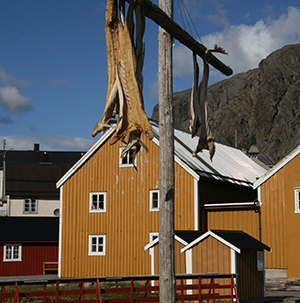 lofoten